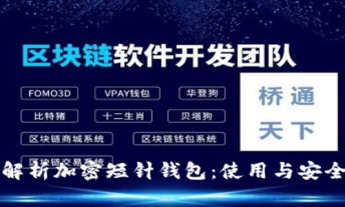 全面解析加密短针钱包：使用与安全教程