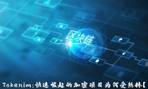 
Tokenim：快速崛起的加密项目为何受热捧？