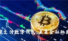 探索跨境支付数字钱包：
