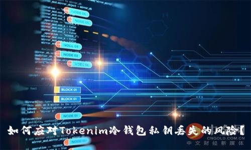 如何应对Tokenim冷钱包私钥丢失的风险？