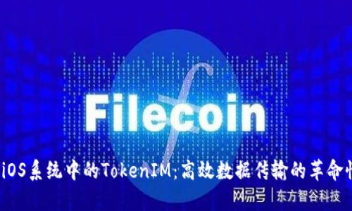  深度解析iOS系统中的TokenIM：高效数据传输的革命性解决方案