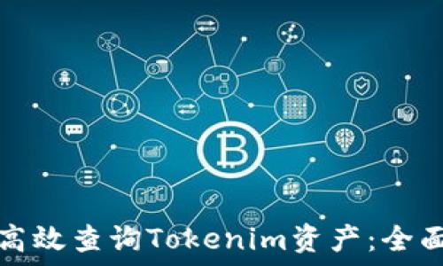  
如何高效查询Tokenim资产：全面指南