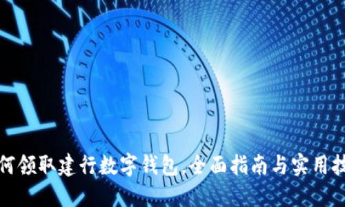 如何领取建行数字钱包，全面指南与实用技巧