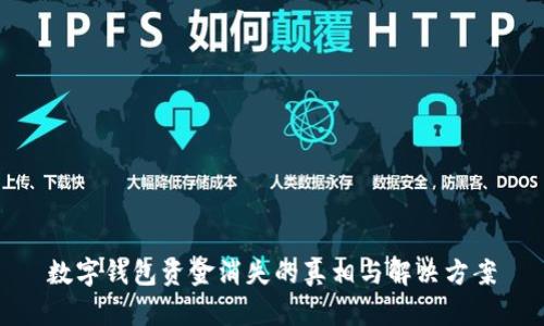 数字钱包资金消失的真相与解决方案