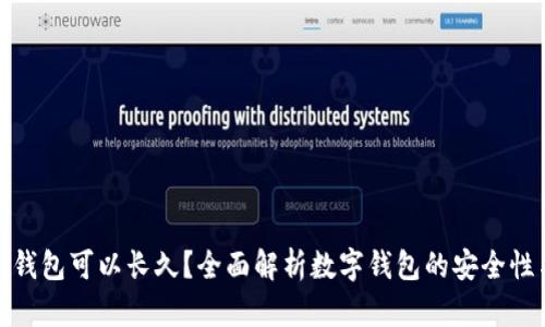 哪个数字钱包可以长久？全面解析数字钱包的安全性与稳定性