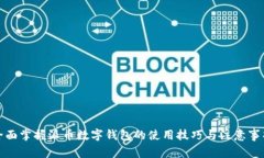 全面掌握派币数字钱包的