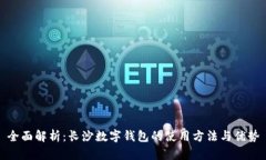 全面解析：长沙数字钱包
