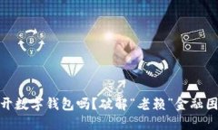 和关键词老赖可以开数字