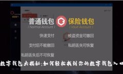 数字钱包大揭秘：如何轻