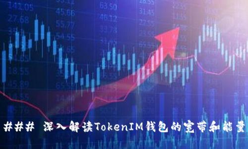 ### 深入解读TokenIM钱包的宽带和能量