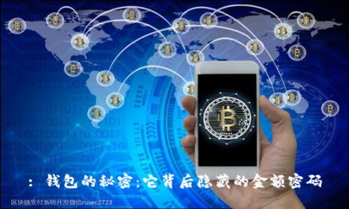 : 钱包的秘密：它背后隐藏的金额密码