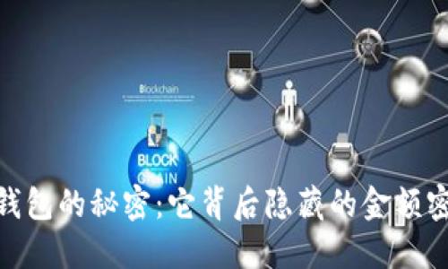 : 钱包的秘密：它背后隐藏的金额密码