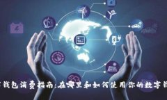 数字钱包消费指南：在哪