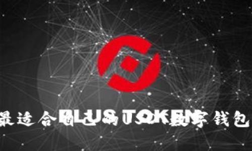 如何选择最适合自己的USDT数字钱包：全面指南
