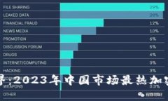 畅游数字世界：2023年中国