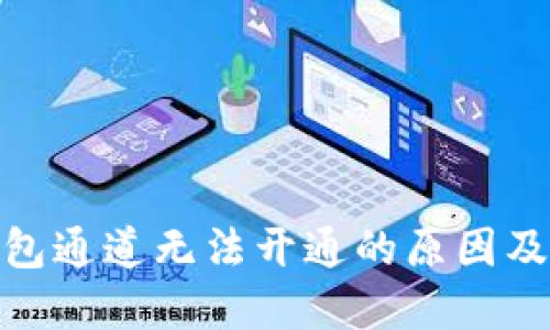 : 数字钱包通道无法开通的原因及解决方案