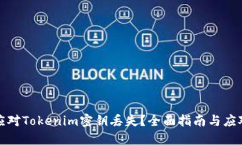 如何应对Tokenim密钥丢失？全面指南与应对策略