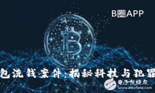 数字钱包洗钱案件：揭秘科技与犯罪的边界