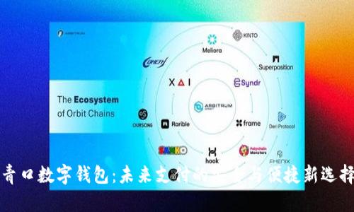 青口数字钱包：未来支付的安全与便捷新选择