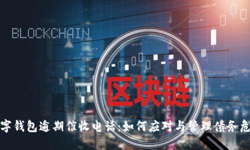 数字钱包逾期催收电话：如何应对与管理债务危机