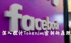 ### 深入探讨Tokenim密钥的原