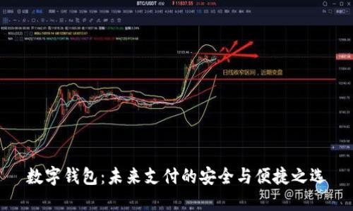 数字钱包：未来支付的安全与便捷之选