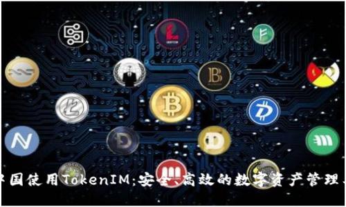 在中国使用TokenIM：安全、高效的数字资产管理工具