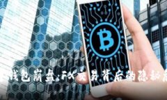 数字钱包崩盘：FX交易背后