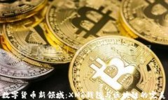 探索数字货币新领域：X