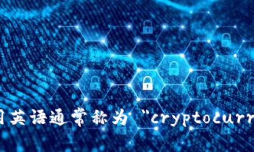 加密货币钱包用英语通常称为 