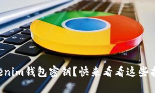 丢失Tokenim钱包密钥？快来看看这些找回策略！