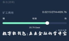 数字软钱包：未来金融的