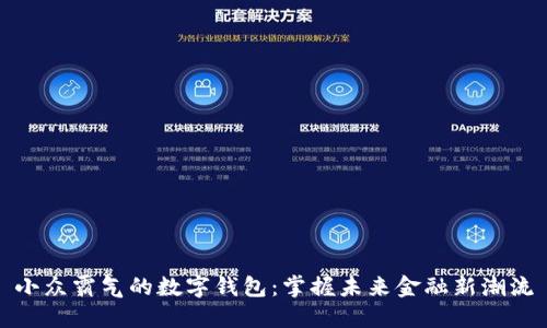 小众霸气的数字钱包：掌握未来金融新潮流