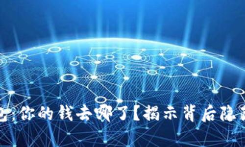 数字钱包：你的钱去哪了？揭示背后隐藏的真相