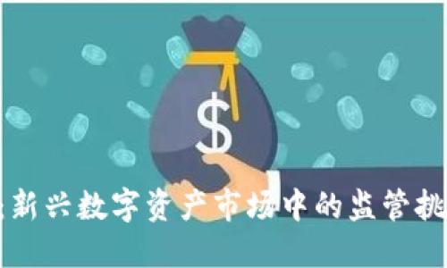 Tokenim：新兴数字资产市场中的监管挑战与机遇