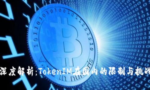 深度解析：TokenIM在国内的限制与挑战