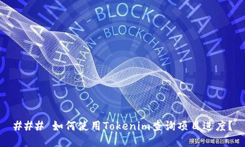 ### 如何使用Tokenim查询项目进度？