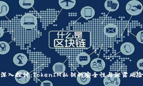 深入探讨：TokenIM私钥的安全性与泄露风险
