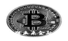 :数字钱包币：重塑未来金