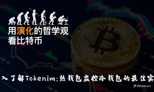 深入了解Tokenim：热钱包监控冷钱包的最佳实践