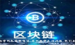 中国数字钱包客服电话：