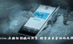 Tokenim：区块链领域的新星