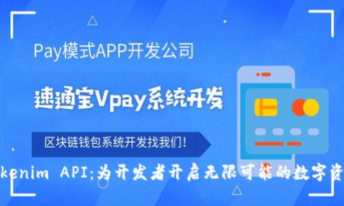 探索Tokenim API：为开发者开启无限可能的数字资产世界