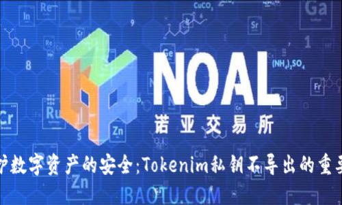 保护数字资产的安全：Tokenim私钥不导出的重要性