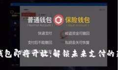 数字钱包即将开放：解锁