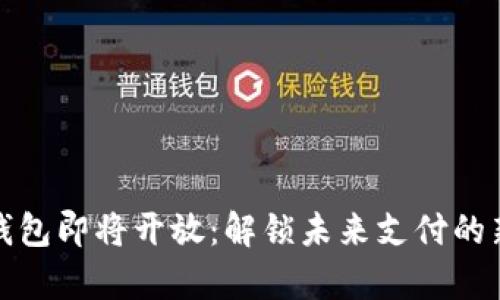 数字钱包即将开放：解锁未来支付的新篇章