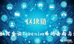 深入探讨：如何查询Toke