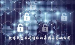 : 数字钱包关闭转账的原因