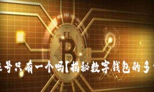 数字钱包账号只有一个吗？揭秘数字钱包的多重账号管理