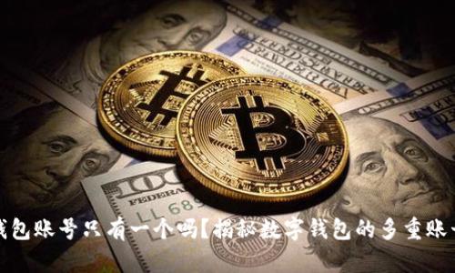 数字钱包账号只有一个吗？揭秘数字钱包的多重账号管理